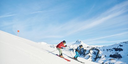 Ausflug mit Kindern - Themen in der Region: Skifahren - Bregenzerwald