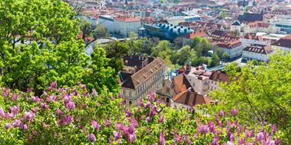 Ausflug mit Kindern - Themen in der Region: Veranstaltungen - Steiermark - Blick vom Grazer Schlossberg - Erlebnisregion Graz