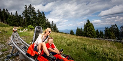 Ausflug mit Kindern - Themen in der Region: Veranstaltungen - Steiermark - Sommerrodelbahn am Schöckl - Erlebnisregion Graz