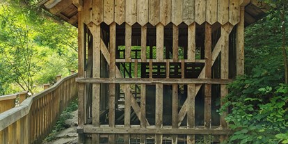 Ausflug mit Kindern - Mitteregg (Aigen im Ennstal) - Steinkugelmühle - Geopfad Gams