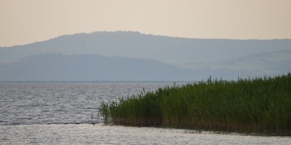 Ausflug mit Kindern - Landschaft: Seen - Österreich - Schilfgürtel des Neusiedler Sees - Neusiedler See
