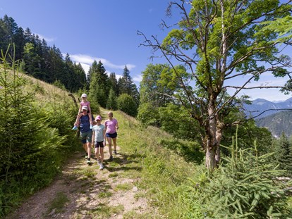 Ausflug mit Kindern - Landschaft: Wälder - Wildschönau - Die erlebnisreiche Familien-Region