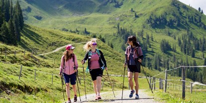 Ausflug mit Kindern - Landschaft: Almen - Tirol - Wildschönau - Die erlebnisreiche Familien-Region