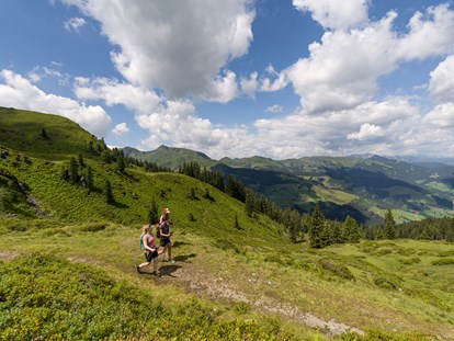 Ausflug mit Kindern - Landschaft: Berge - Tirol - Wildschönau - Die erlebnisreiche Familien-Region