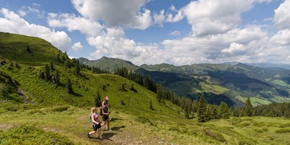 Ausflug mit Kindern - Tirol - Wildschönau - Die erlebnisreiche Familien-Region