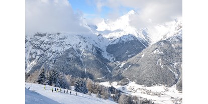 Ausflug mit Kindern - gut erreichbar mit: Flugzeug - Österreich - verschneite Berge - Wipptal