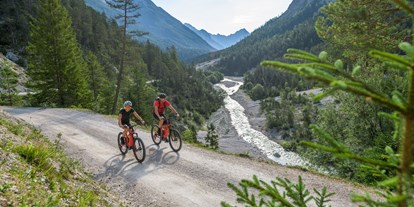 Ausflug mit Kindern - Landschaft: Berge - Tirol - E-Biken im Karwendel - Region Seefeld - Tirols Hochplateau
