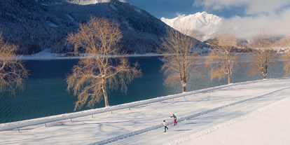 Ausflug mit Kindern - Landschaft: Berge - Tirol - ©Tom Klocker - Achensee