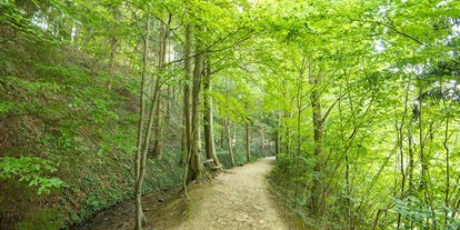 Ausflug mit Kindern - Rabendorf - Naturpark-Erlebnisrundweg mit dem NaturKRAFTpark