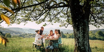 Ausflug mit Kindern - Ausflugsziel ist: ein Bauernhof - Misselsdorf - Wandermöglichkeiten und wunderschöne Picknickplätze in der Region.  - Vulcano Schinkenwelt Ursprung