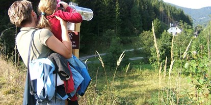 Ausflug mit Kindern - Umgebungsschwerpunkt: Land - Steiermark - Ein Blick in die Vergangenheit am Montanrundweg Altenberger Erzberg - Montanrundweg Altenberger Erzberg und Bergwerksmuseum Montanarum