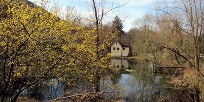 Ausflug mit Kindern - Witterung: Schönwetter - Badendorf (Ober-Grafendorf) - Dirndlblüte von März bis mitte April - Steinschaler Naturgärten