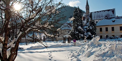 Trip with children - Mariazell - Kartause im Winter - 4* Schloßhotel Kartause Gaming