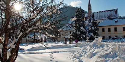 Ausflug mit Kindern - Kindergeburtstagsfeiern - Hasenberg (Oberndorf an der Melk) - Kartause im Winter - 4* Schloßhotel Kartause Gaming