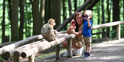 Ausflug mit Kindern - Witterung: Regenwetter - Baden-Württemberg - Das perfekte Ausflugsziel für die ganze Familie - Affenberg Salem