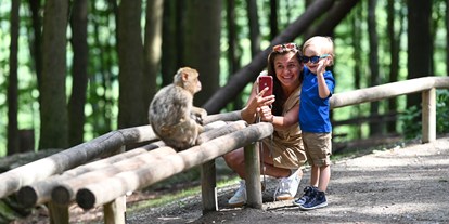 Ausflug mit Kindern - Ravensburg - Das perfekte Ausflugsziel für die ganze Familie - Affenberg Salem