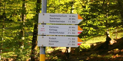 Ausflug mit Kindern - Dauer: ganztags - Göfis - Rappenlochschlucht & Alplochschlucht