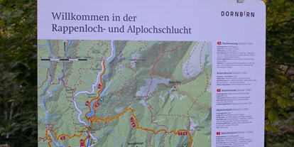 Trip with children - Alter der Kinder: 6 bis 10 Jahre - Schnepfau - Rappenlochschlucht & Alplochschlucht