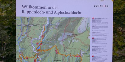 Ausflug mit Kindern - öffentliche Verkehrsmittel - PLZ 88079 (Deutschland) - Rappenlochschlucht & Alplochschlucht