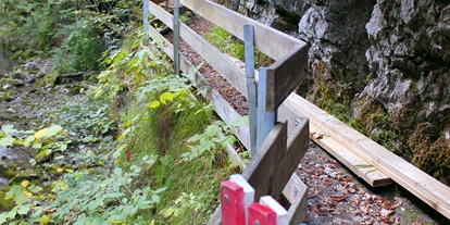 Ausflug mit Kindern - Witterung: Bewölkt - Schnepfau - Ein neuer Weg führt nach dem Felssturz von 2011 überhalb der Schlucht - Rappenlochschlucht & Alplochschlucht