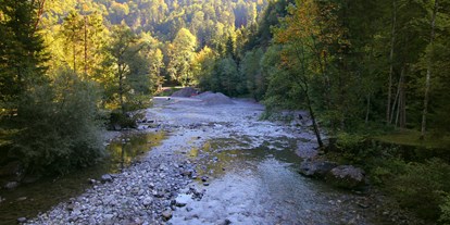 Ausflug mit Kindern - Umgebungsschwerpunkt: Fluss - Dornbirn Gütle - Rappenlochschlucht & Alplochschlucht