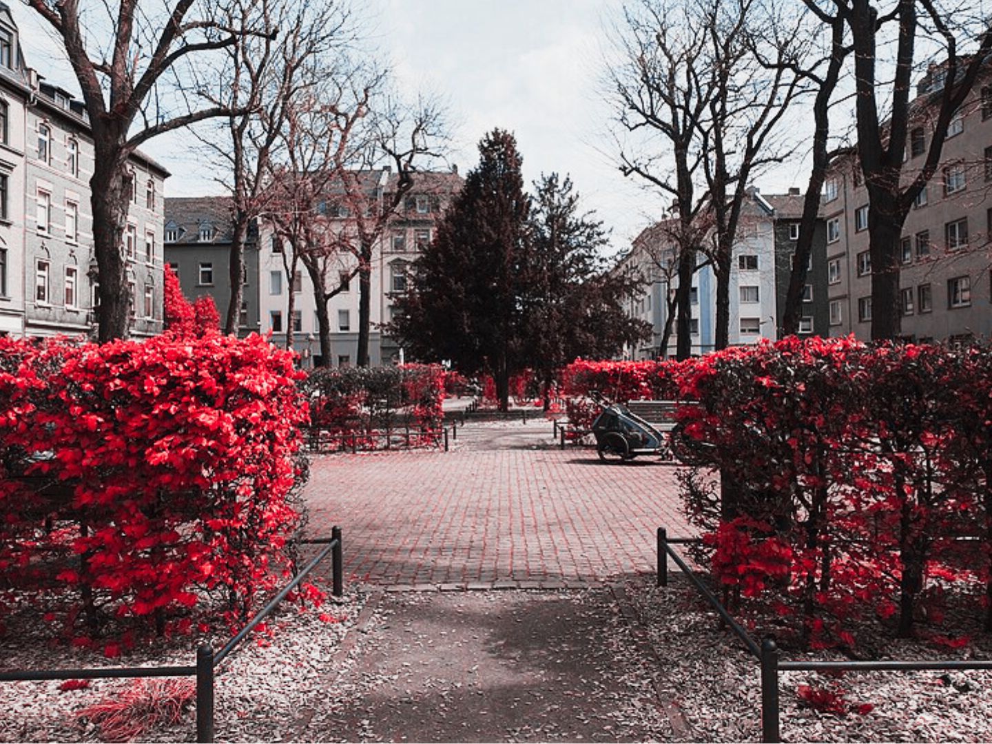 Destination - Krimi-Trail Mainz: Keinen Respekt gezollt