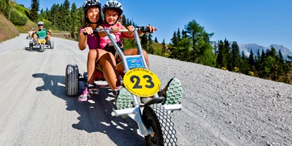 Ausflug mit Kindern - Alter der Kinder: über 10 Jahre - Bad Mitterndorf - Mountain Gokart auf der Hochwurzen