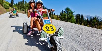 Ausflug mit Kindern - Ausflugsziel ist: eine Sommerrodelbahn - Österreich - Mountain Gokart auf der Hochwurzen