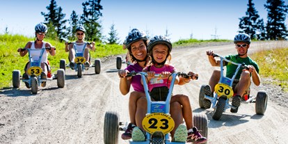 Ausflug mit Kindern - Preisniveau: günstig - Rohrmoos - Ein Abenteuer für die ganze Familie  - Mountain Gokart auf der Hochwurzen