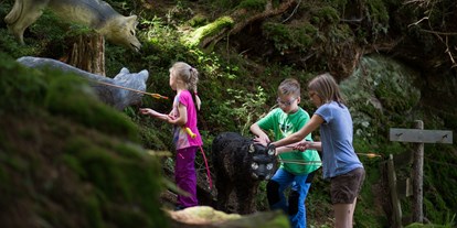 Ausflug mit Kindern - Schatten: überwiegend schattig - Archkogl - Bogenschießen auf der Bogen Ranch  - Bogen Ranch Bruno