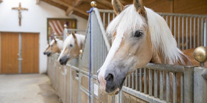 Ausflug mit Kindern - Themenschwerpunkt: Pferde - Münster (Münster) - Ponyreiten beim Hauserwirt in Münster