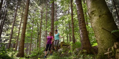 Ausflug mit Kindern - Ausflugsziel ist: eine Wanderung - Steinberg am Rofan - Fitnessmeile Kramsach