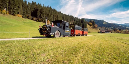 Trip with children - Ausflugsziel ist: eine Bahn - Austria - Bummelzug in Kundl