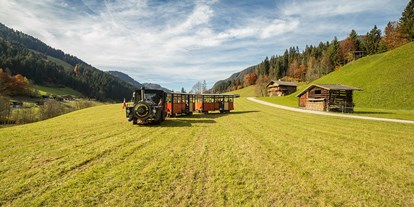 Ausflug mit Kindern - Preisniveau: günstig - PLZ 6272 (Österreich) - Bummelzug in Kundl