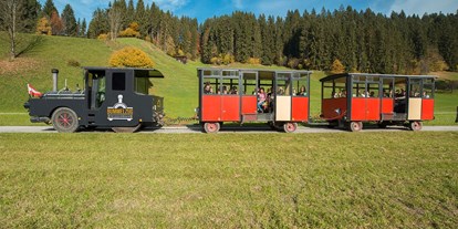 Ausflug mit Kindern - öffentliche Verkehrsmittel - Tiroler Unterland - Bummelzug in Kundl