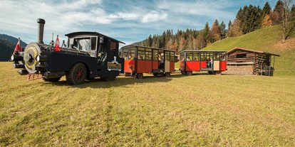 Ausflug mit Kindern - Ausflugsziel ist: eine Bahn - Tiroler Unterland - Bummelzug in Kundl