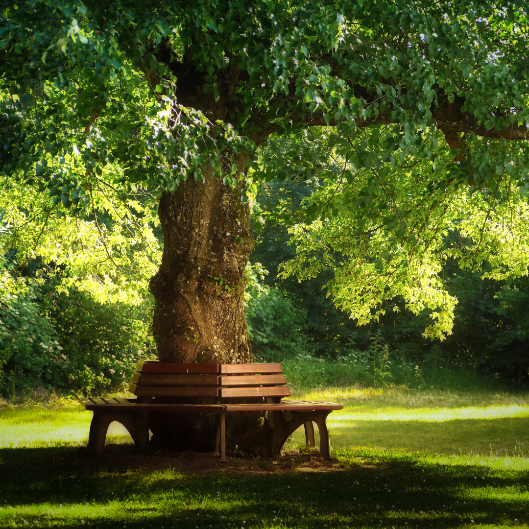Ausflugsziel - Symbolbild für Ausflugsziel Kur- und Schlosspark Badenweiler. Keine korrekte oder ähnlich Darstellung! - Kur- und Schlosspark Badenweiler