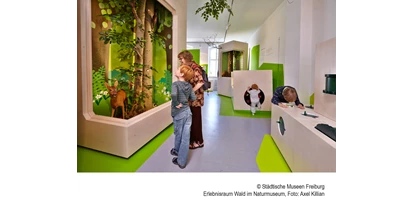 Trip with children - Alter der Kinder: 1 bis 2 Jahre - Baden-Württemberg - Museum Natur und Mensch
