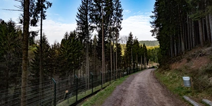 Ausflug mit Kindern - Zell am Harmersbach - Alternativer Wolf- und Bärenpark