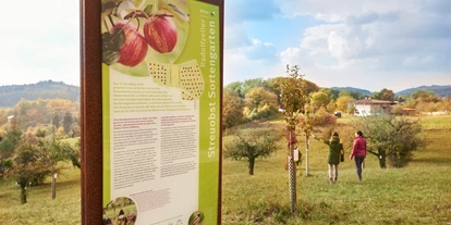Ausflug mit Kindern - Uhldingen-Mühlhofen - Im Streuobst-Sortengarten werden alte Obstsorten kultiviert. - Streuobst- Sortengarten