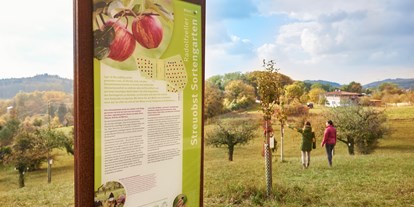 Ausflug mit Kindern - Alter der Kinder: über 10 Jahre - Region Bodensee - Im Streuobst-Sortengarten werden alte Obstsorten kultiviert. - Streuobst- Sortengarten