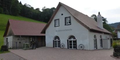 Trip with children - Sankt Georgen im Schwarzwald - Hammerschmiede Oberprechtal