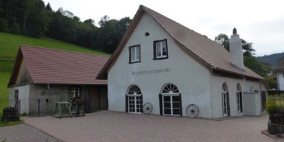 Ausflug mit Kindern - Haslach im Kinzigtal - Hammerschmiede Oberprechtal