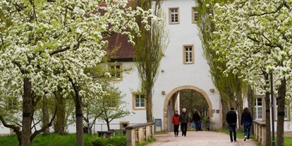 Ausflug mit Kindern - Ausflugsziel ist: ein sehenswerter Ort - Niedernhall - Schlosspark Bad Mergentheim - Schlosspark Bad Mergentheim