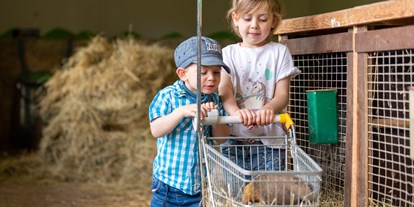 Ausflug mit Kindern - Alter der Kinder: 2 bis 4 Jahre - Hüfingen - Auf du und du mit Tanni´s Hasen  - Unterkirnach - Tannis kleine Tierscheune