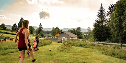 Ausflug mit Kindern - Alter der Kinder: 0 bis 1 Jahre - Schluchsee - Spass-Park Hochschwarzwald