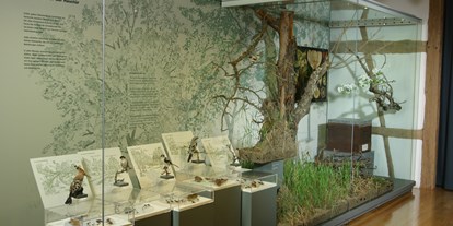 Ausflug mit Kindern - Themenschwerpunkt: Geschichte - Deutschland - Lebensraum Streuobstwiese - Naturkundemuseum Reutlingen