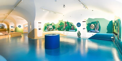 Trip with children - Ausflugsziel ist: ein Museum - Bad Überkingen - Donauschwäbisches Zentralmuseum
