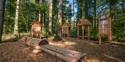 Ausflug mit Kindern - Ausflugsziel ist: ein Weg - Baden-Württemberg - Erlebnispfad Eibenwald 