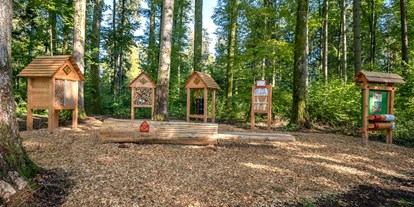 Ausflug mit Kindern - Parkmöglichkeiten - Zell im Wiesental - Erlebnispfad Eibenwald 